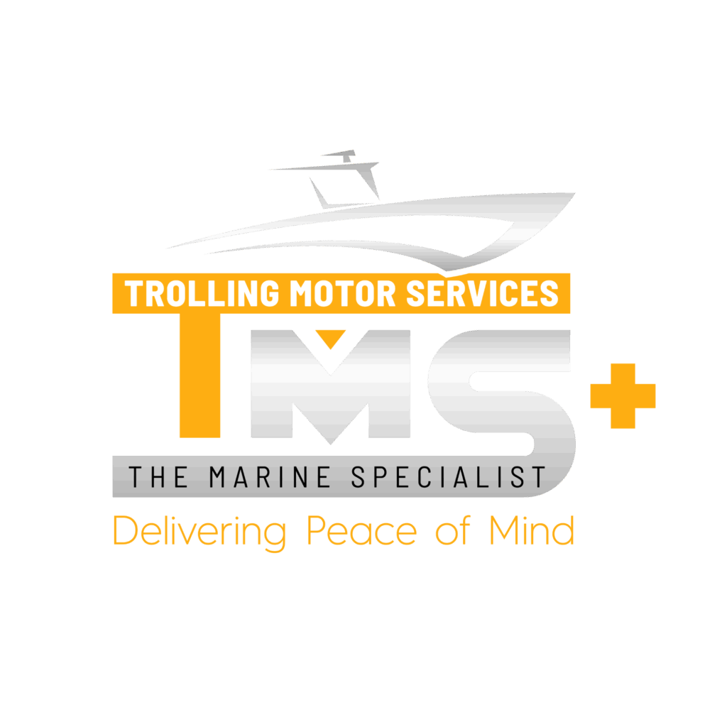 TMS Logo